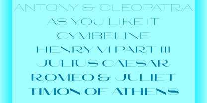 Larga Sans High Font Poster 2